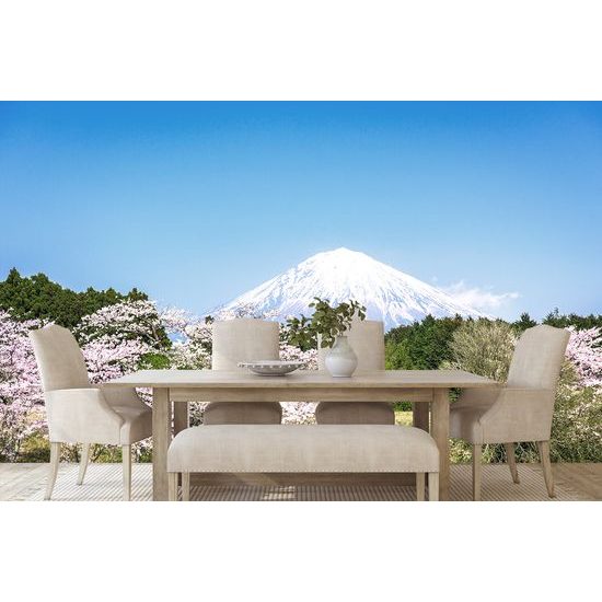 Samolepiaca fototapeta Fuji v objatí japonskej prírody