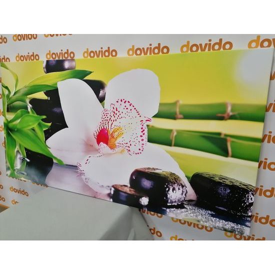 Obraz zen zátišie s orchideou