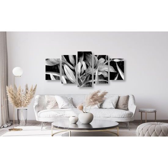 5-dielny obraz pôvabná maľovaná ľalia v čiernobielom prevedení