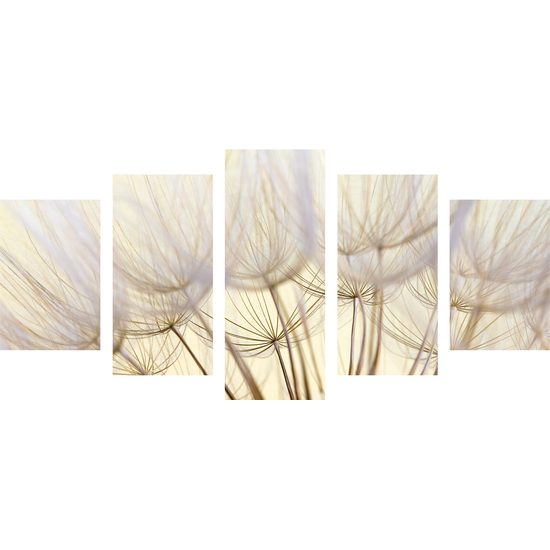 5-dielny obraz presný detail púpavy