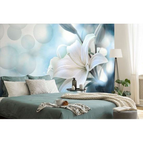 Tapeta biela ľalia na abstraktnom pozadí