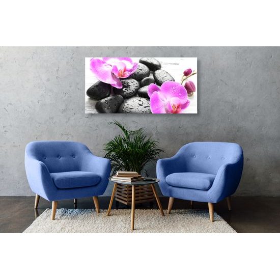 Obraz wellness kamene a orchidea po daždi