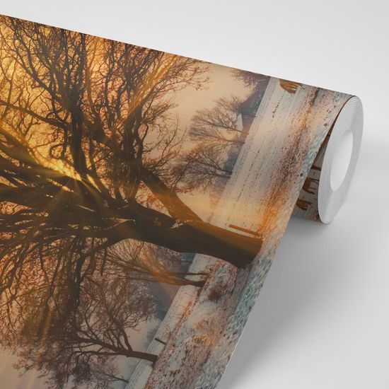 Krásna samolepiaca fototapeta kone pri východe slnka