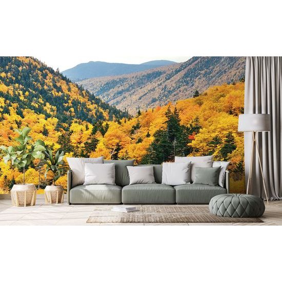 Očarujúca fototapeta jesenná príroda