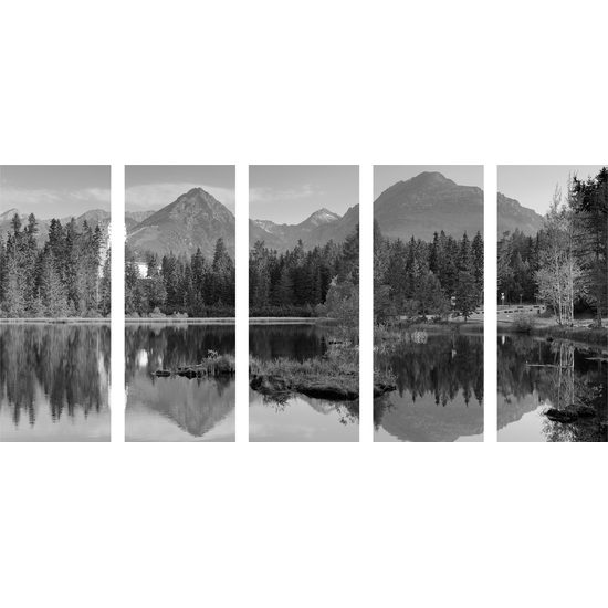 5-dielny obraz pravá Kanadská príroda v čiernobielom prevedení
