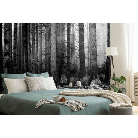 Originálna samolepiaca fototapeta čiernobiele zákutie lesa