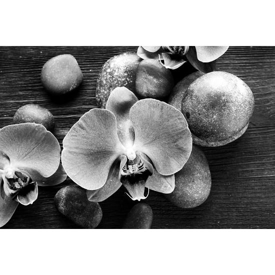 Samolepiaca fototapeta orchidea na zen kameňoch v čiernobielom prevedení