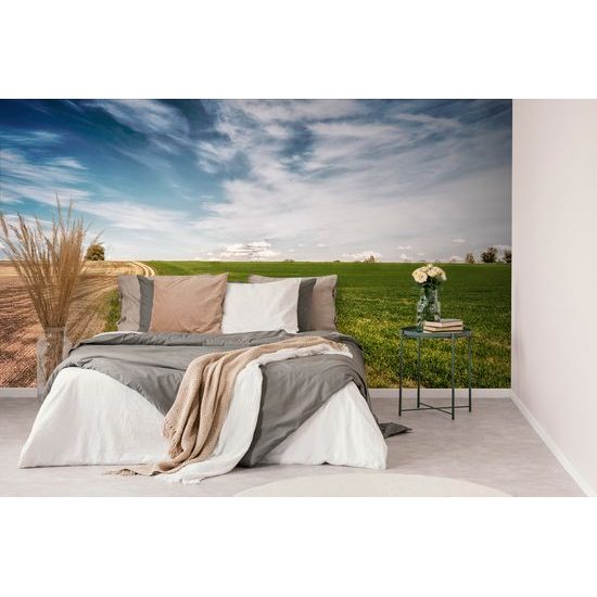 Samolepiaca fototapeta cesta jarnou krajinou