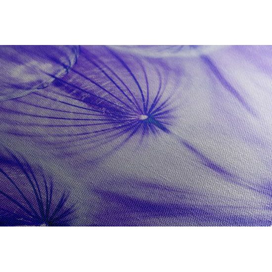 Obraz abstraktná púpava v fialovom prevedení