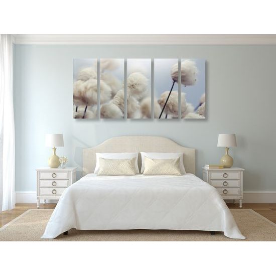 5-dielny obraz kvety bavlníku vo vetre