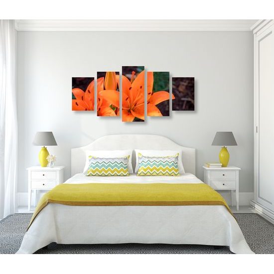 5-dielny obraz oranžová dália