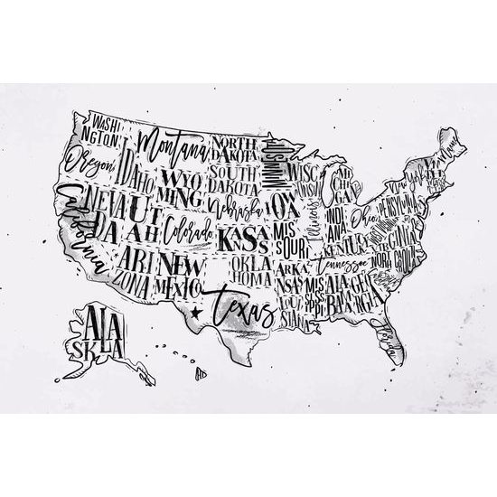 Obraz na korku moderná mapa USA so štátmi
