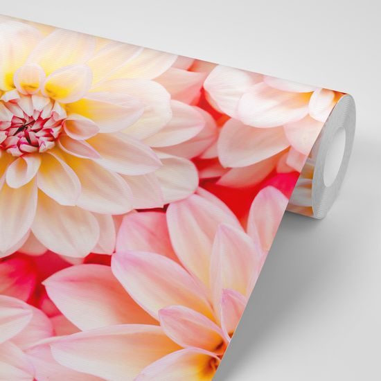 Samolepiaca fototapeta pôvabné dálie v pastelových odtieňoch