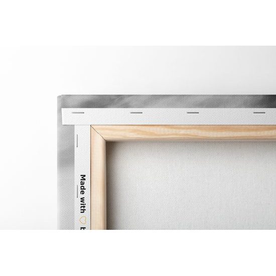 Obraz nádherná krajina v čiernobielom prevedení