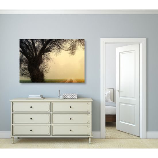 Obraz pole zahalené v rannej hmle