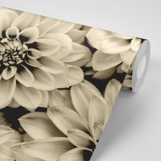 Samolepiaca fototapeta pôvabné dálie v sépiovom prevedení