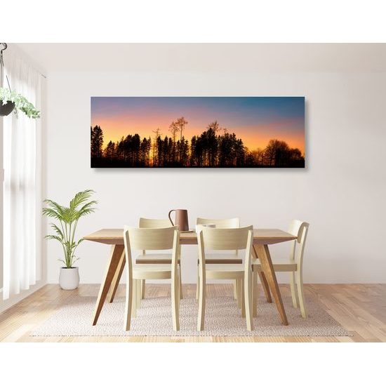 Obraz les pri západe slnka