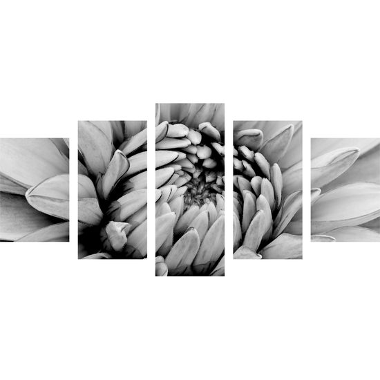 5-dielny obraz perfektný detail na kvet dálie v čiernobielom prevedení