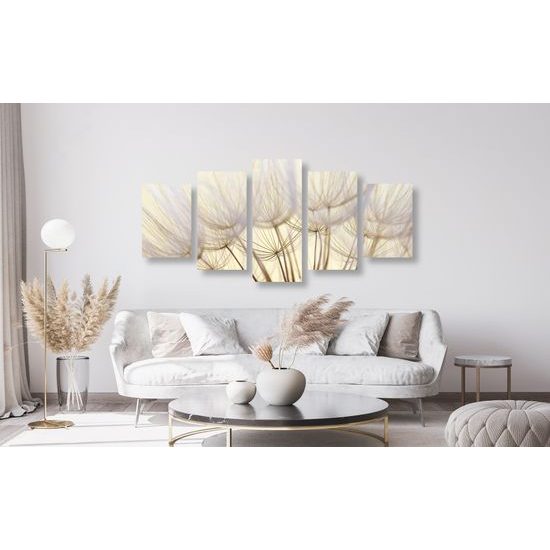 5-dielny obraz presný detail púpavy