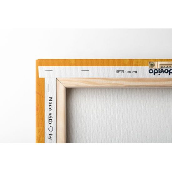 Obraz oranžová Mandala s abstraktnými prvkami