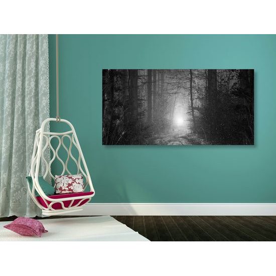 Obraz svetlo na konci cesty v čiernobielom prevedení