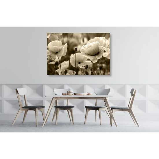 Obraz jedinečné divé maky v sépiovom prevedení