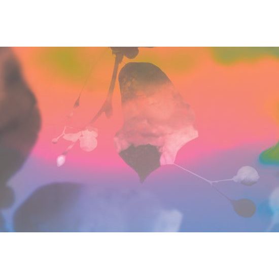 Obraz nádherný list v pastelových farbách