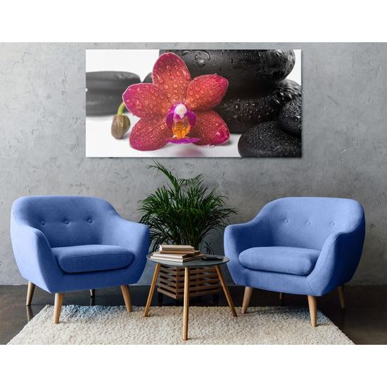 Obraz zen zátišie a orchidea