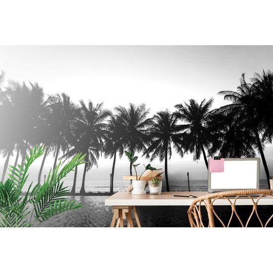 Tapeta palmy pri západe slnka v čiernobielom prevedení
