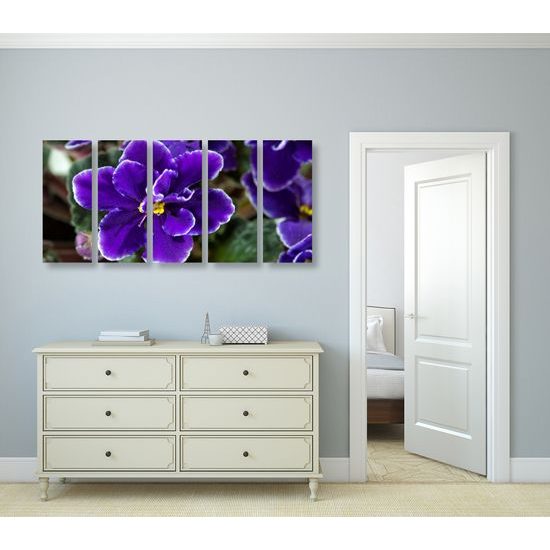 5-dielny obraz kvitnúca fialka