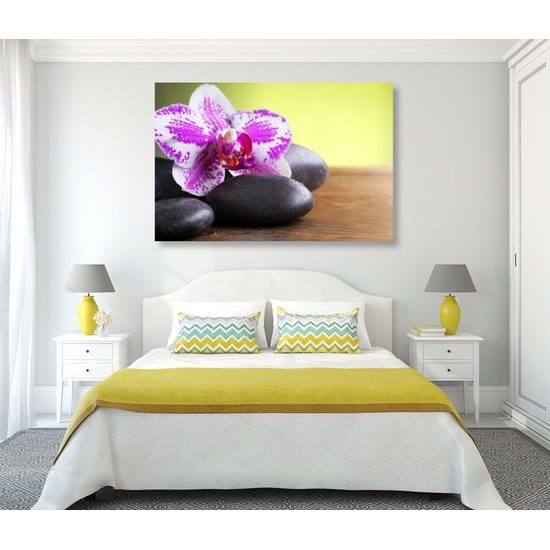 Obraz zaujímavo sfarbená orchidea a Zen kamene