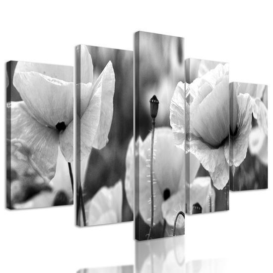 5-dielny obraz jedinečné divé maky v čiernobielom prevedení