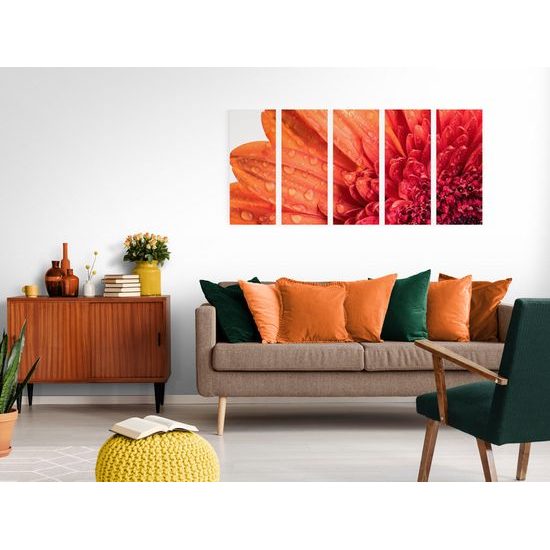 5-dielny obraz ranná rosa na nádhernej gerbere