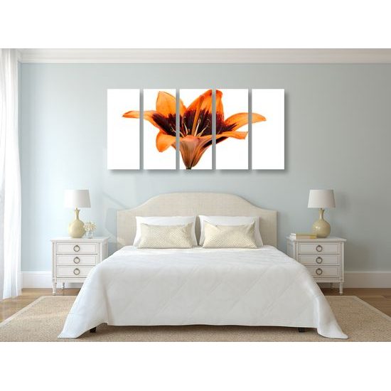 5-dielny obraz nevšedná ľalia