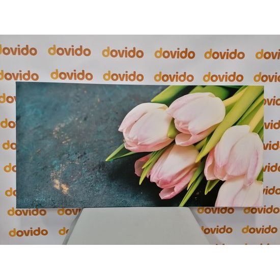 Obraz nerozkvitnuté tulipány