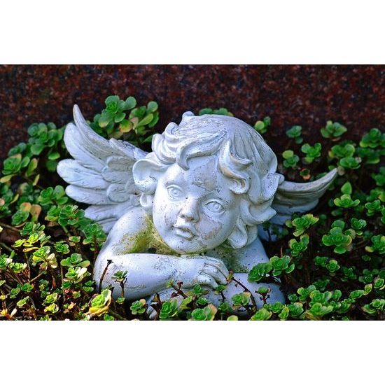 Obraz záhradný anjelik