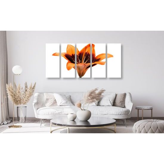 5-dielny obraz nevšedná ľalia