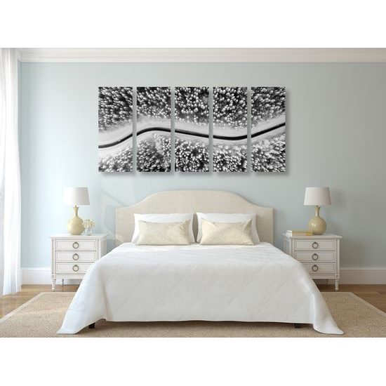 5-dielny obraz cesta cez zasnežený les v čiernobielom prevedení