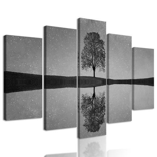 5-dielny obraz odraz hviezd na hladine jazera v čiernobielom prevedení