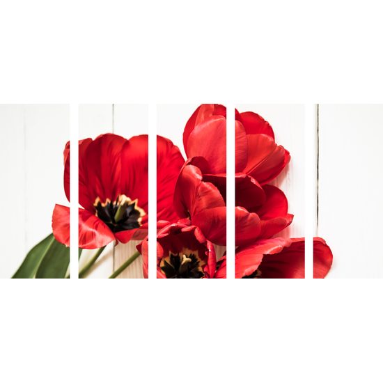 5-dielny obraz prekrásne tulipány