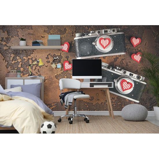 Samolepiaca fototapeta retro fotoaparáty so srdiečkami