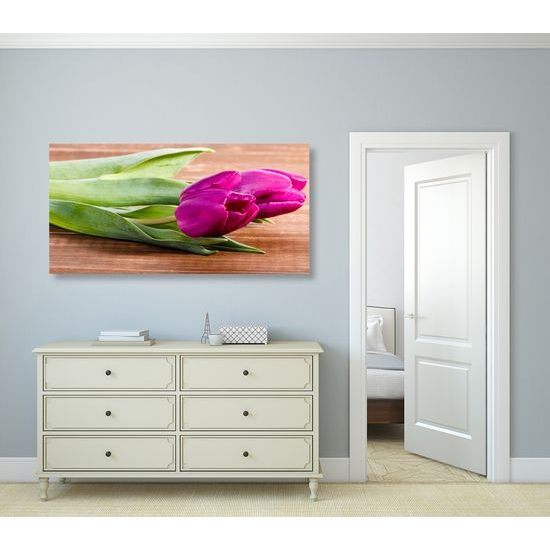Obraz nádherné fialové tulipány
