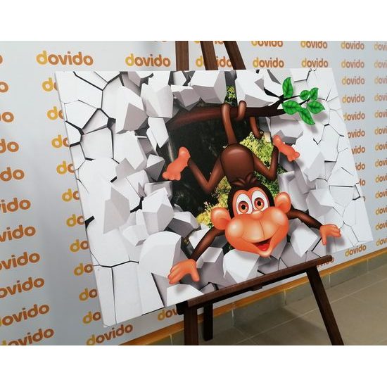 Obraz usmievavá opička