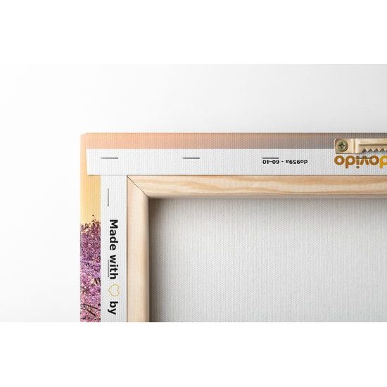 Obraz romantický pohľad na sopku Fuji