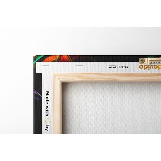 Obraz nádherné palmové listy