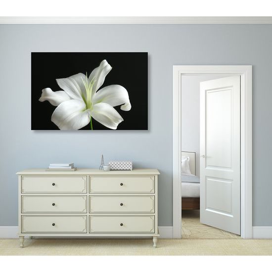 Obraz dýchberúca biela ľalia