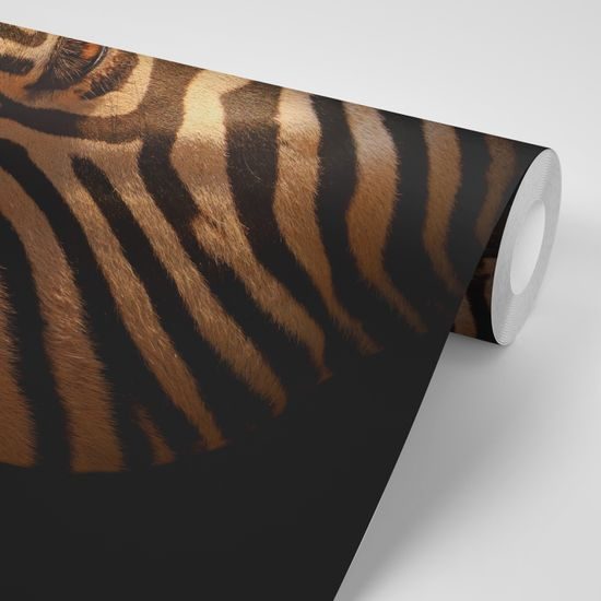 Fototapeta detail zebrej hlavy