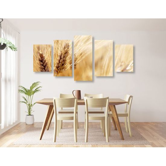 5-dielny obraz detail pšenice