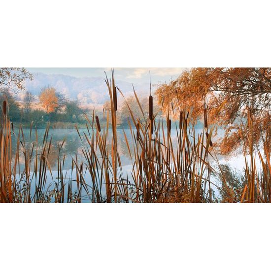Obraz čaro ranného rybníka