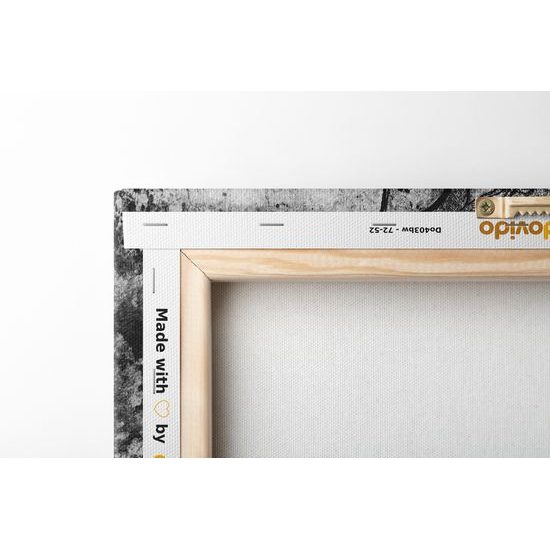 Obraz slnečná Mandala v čiernobielom prevedení